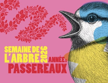 Illustration de l'actualité - cliquer pour agrandir