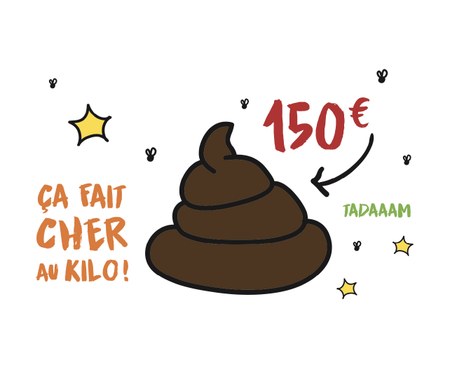 Illustration de l'actualité - cliquer pour agrandir